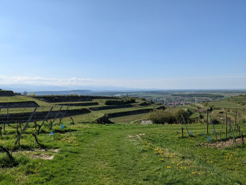 You are currently viewing Alpencross Ost – West mit dem MTB: 23. Etappe von Basel nach Lahr